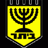 /album/photogallery/beitar-jerusalim-gif/